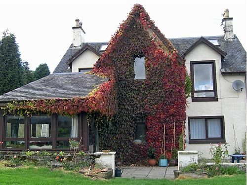 Achnabobane Farmhouse Spean Bridge Exterior foto